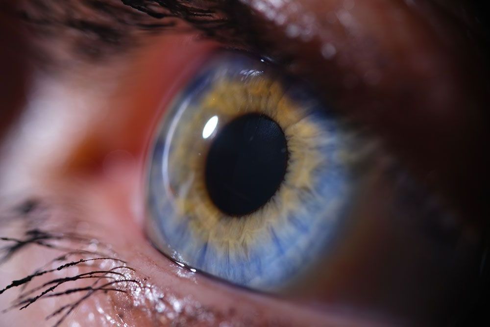Eine Nahaufnahme des blau-gelben Auges einer Person.