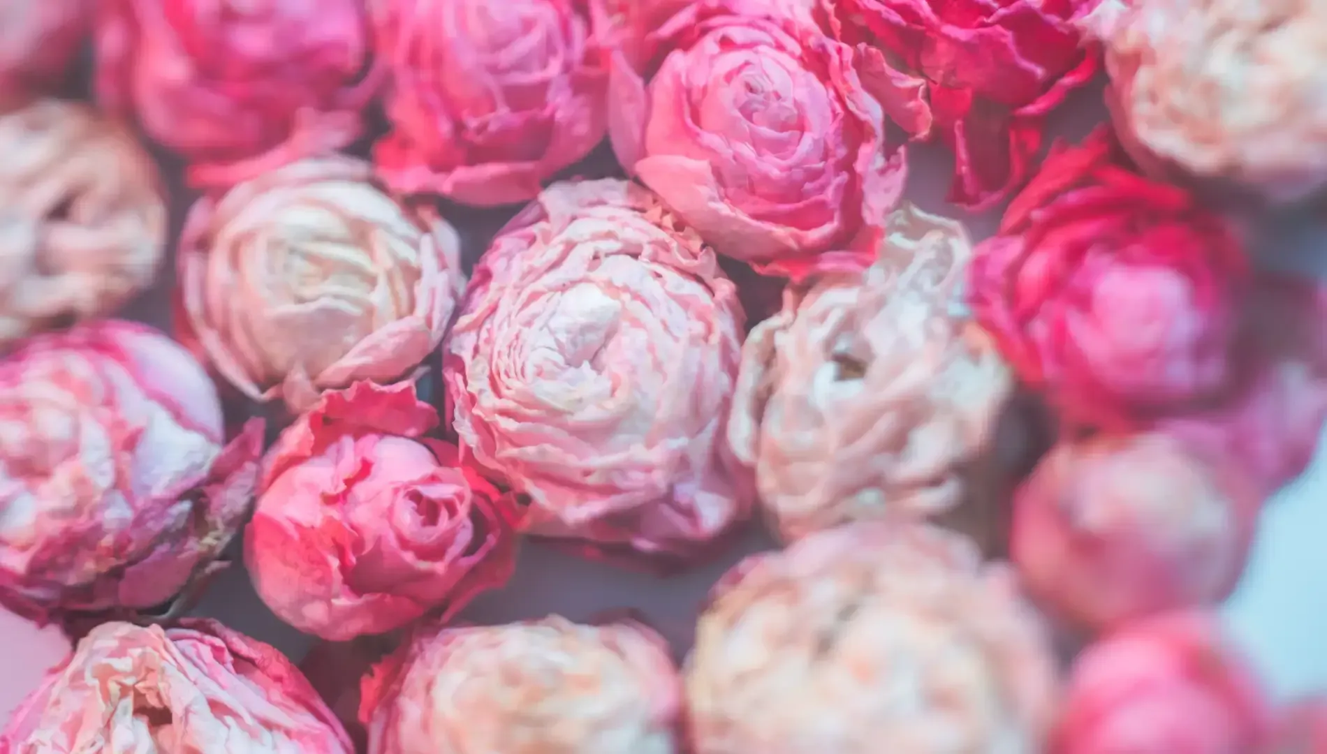 Mujer sosteniendo un ramo y un gran objeto en forma de corazón frente al escaparate de una tienda.