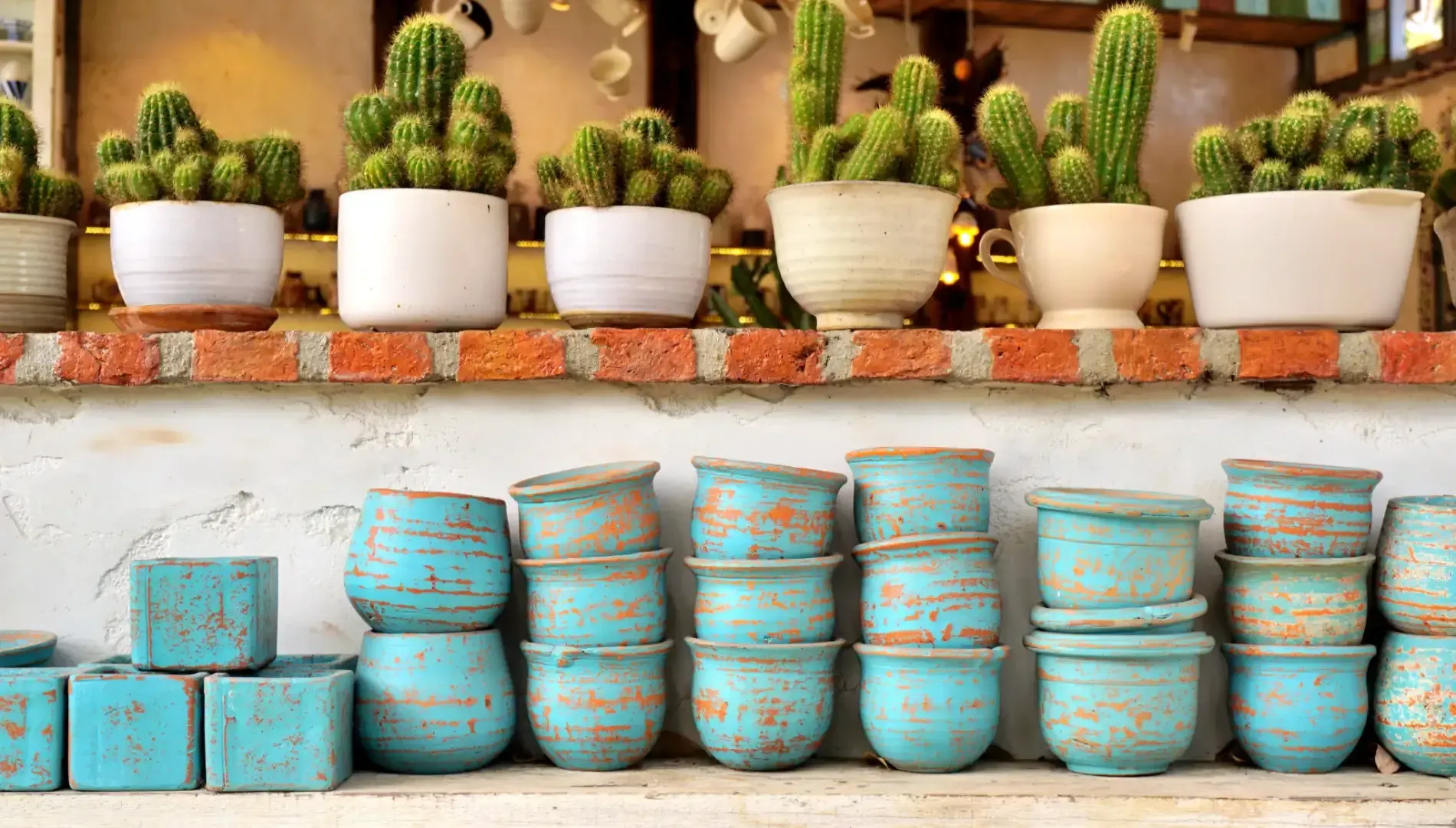 Los cactus en macetas blancas descansan sobre un estante de ladrillo encima de pilas de macetas en una pared blanca.