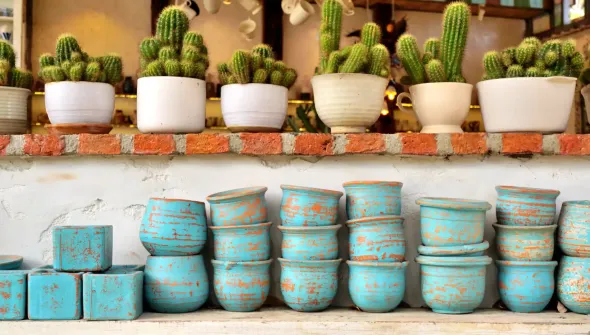 Los cactus en macetas blancas descansan sobre un estante de ladrillo encima de pilas de macetas en una pared blanca.