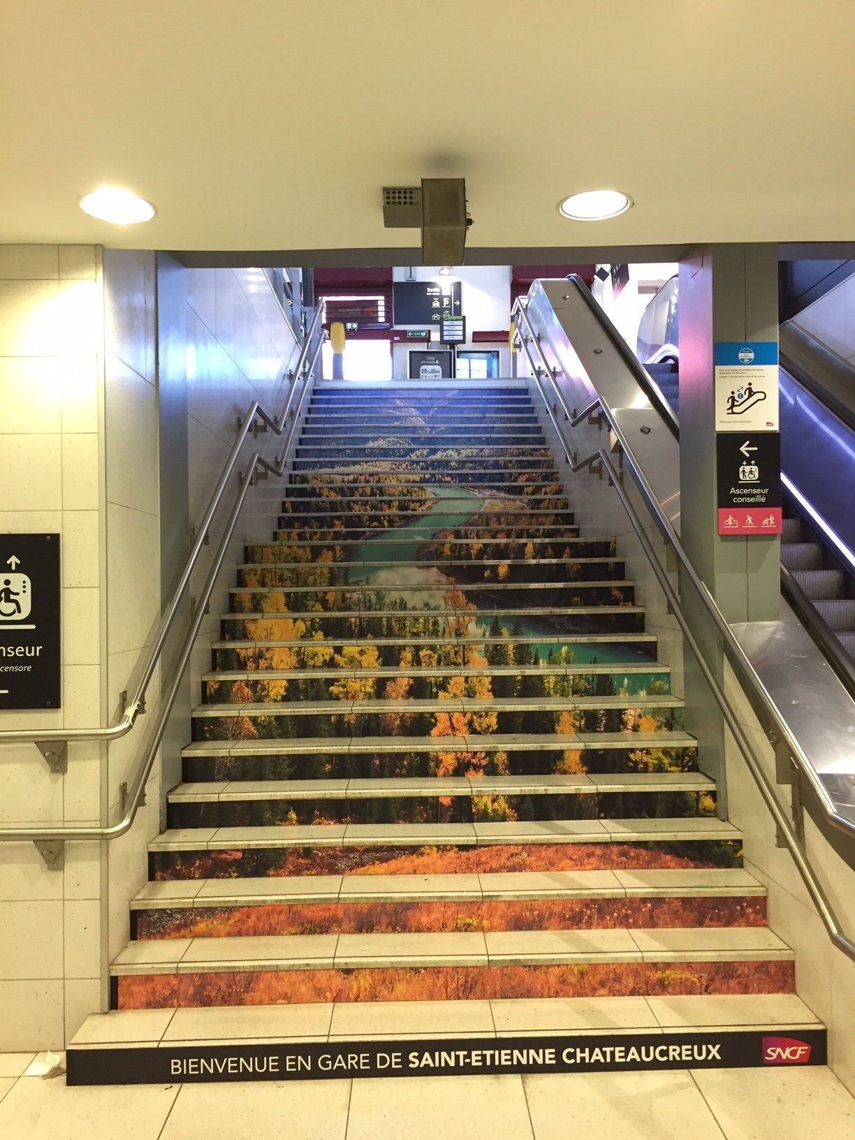 Décoration escalier adhésif près de Saint-Etienne et Lyon. Fabrication et pose.