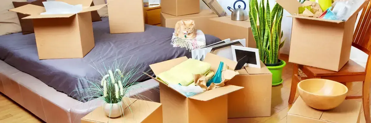 Un dormitorio lleno de cajas de cartón y plantas en macetas.