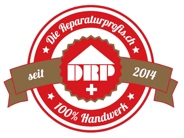 Logo - Die Reparaturprofis GmbH - Birrhard