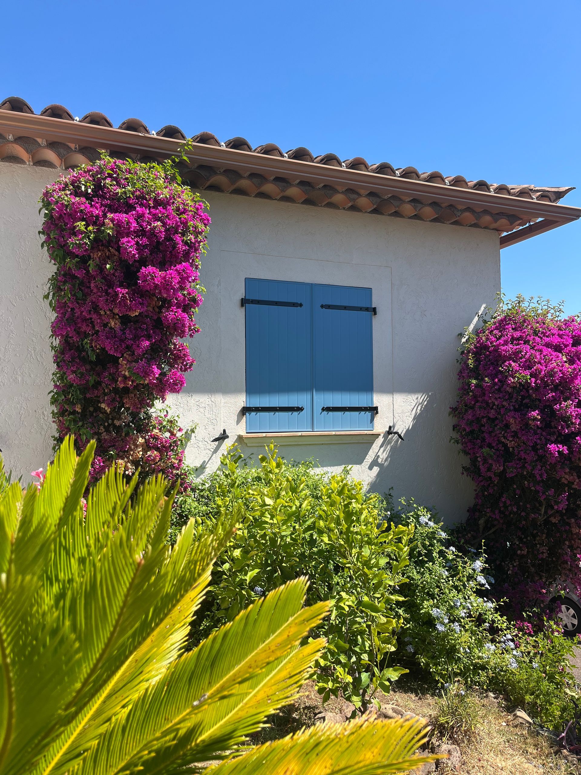 Maison aux volets bleus, aux bougainvillées d'un violet éclatant et au feuillage vert se détachant sur un ciel bleu.