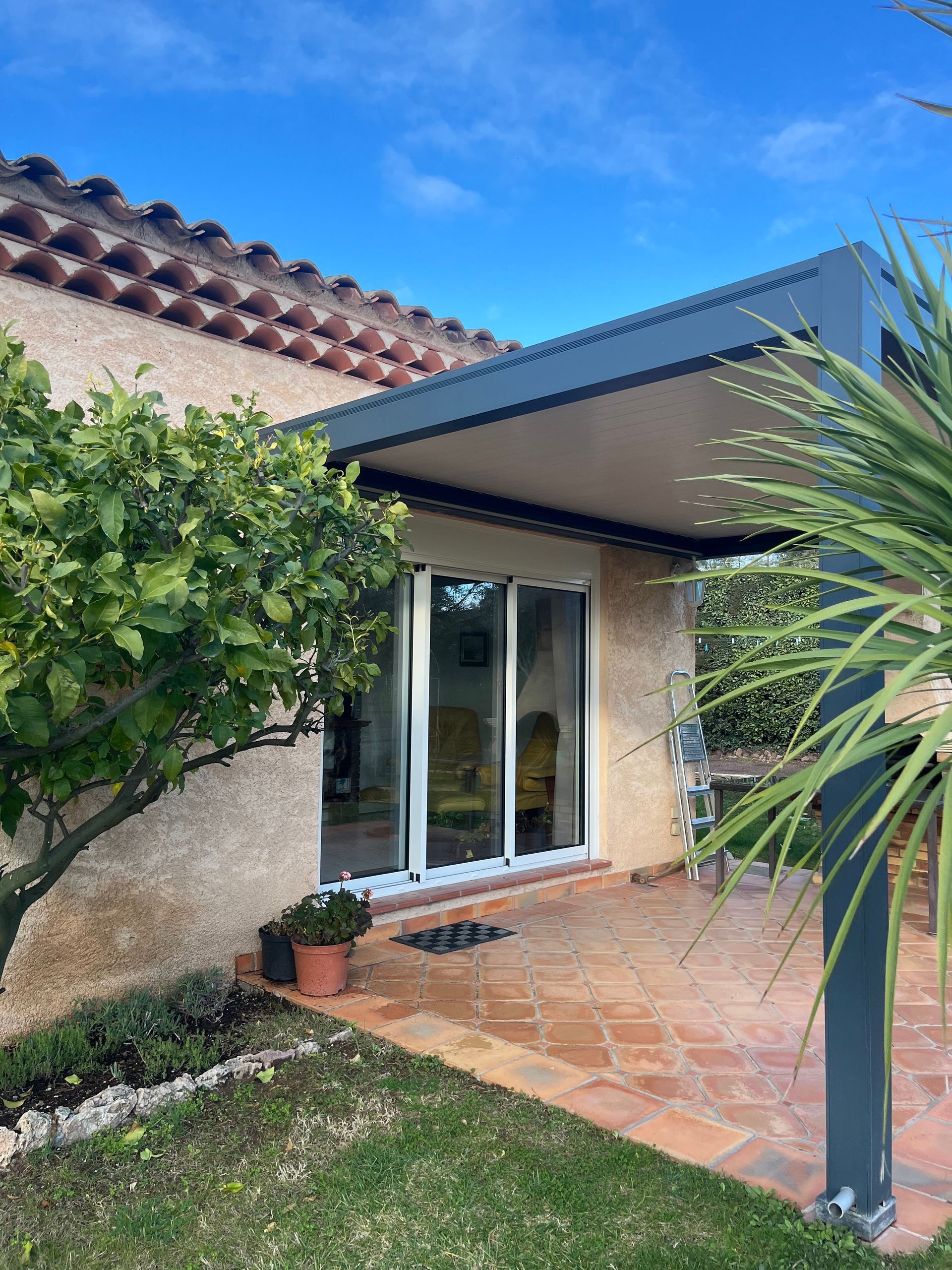 Patio avec pergola, porte-fenêtre coulissante et citronnier sous un ciel bleu.