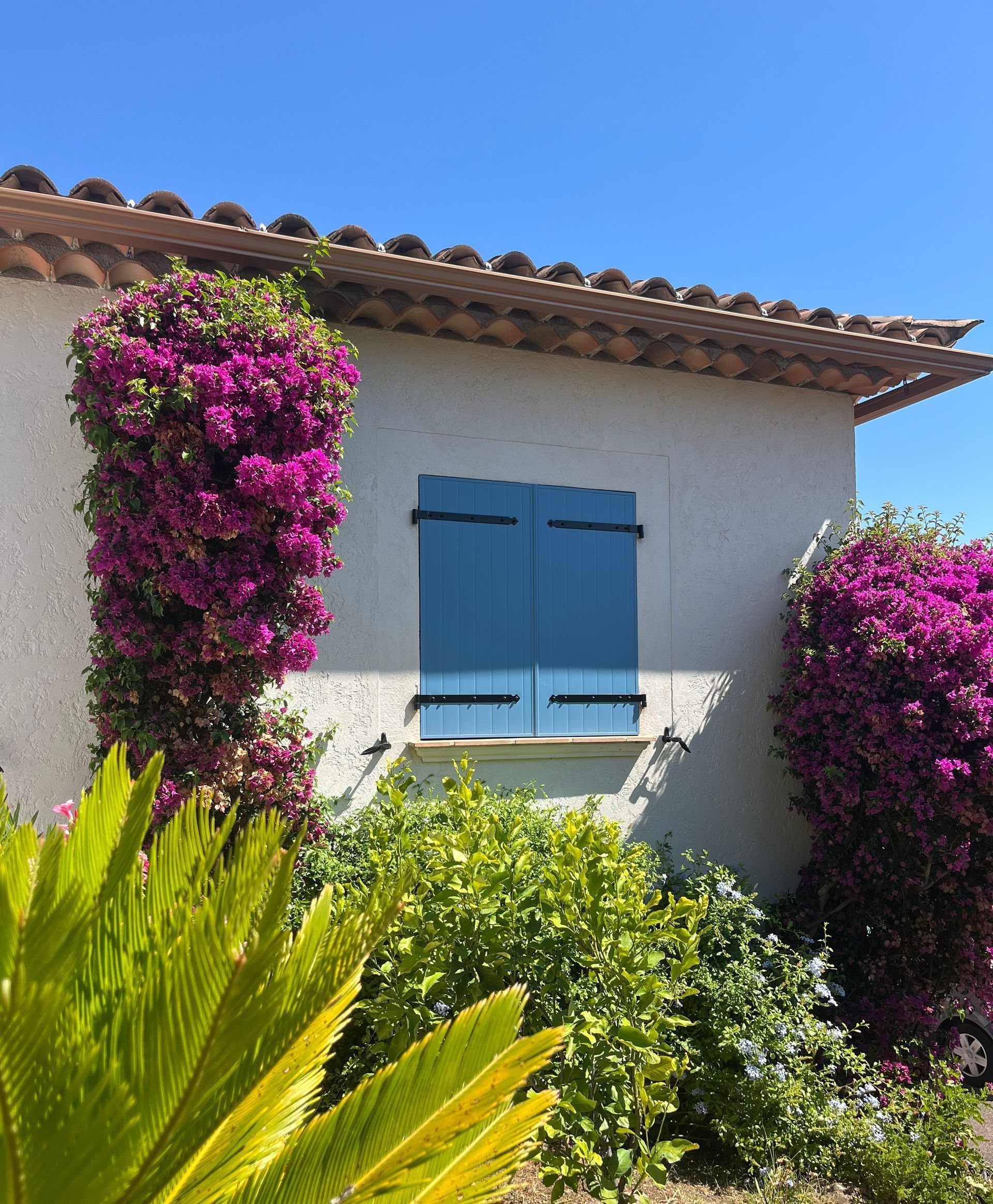 Maison aux volets bleus, aux bougainvillées d'un violet éclatant et au feuillage vert se détachant sur un ciel bleu.