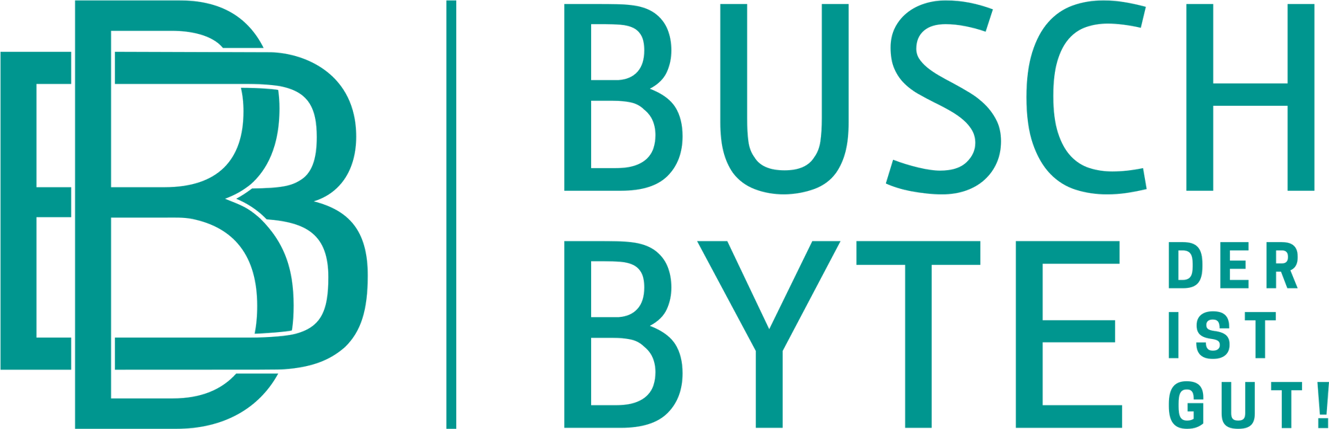 Logo BuschByte IT & Consulting