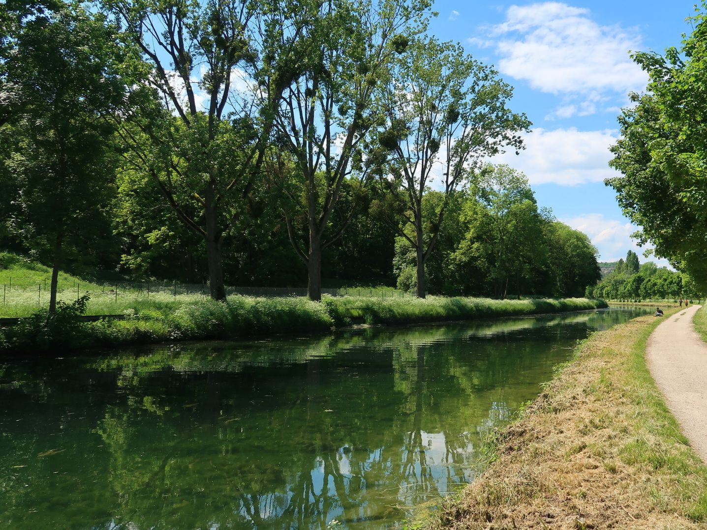 Canal bordé d'arbres le long d'un chemin herbeux sous un ciel bleu parsemé de nuages