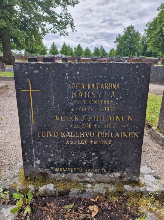 Hautakivi ennen entisöintiä