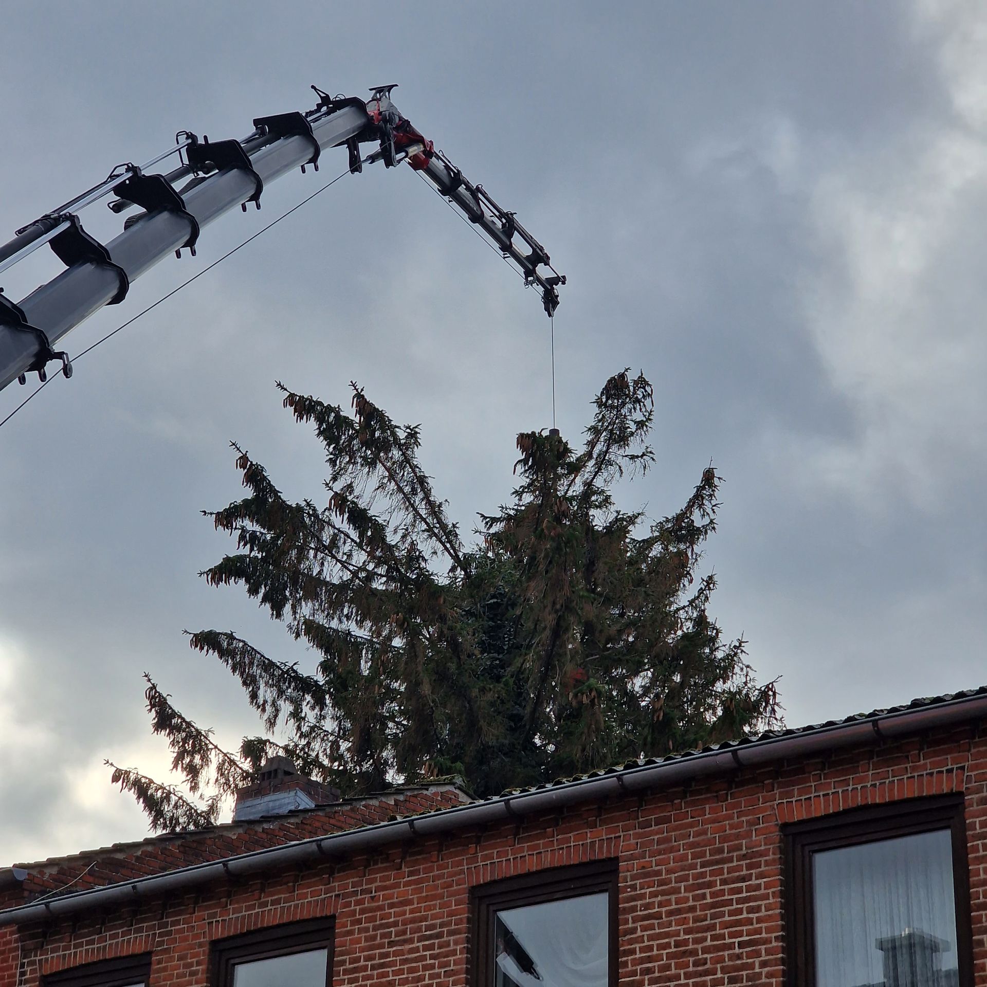 Ein Kran hebt einen Baum vom Dach eines Backsteingebäudes