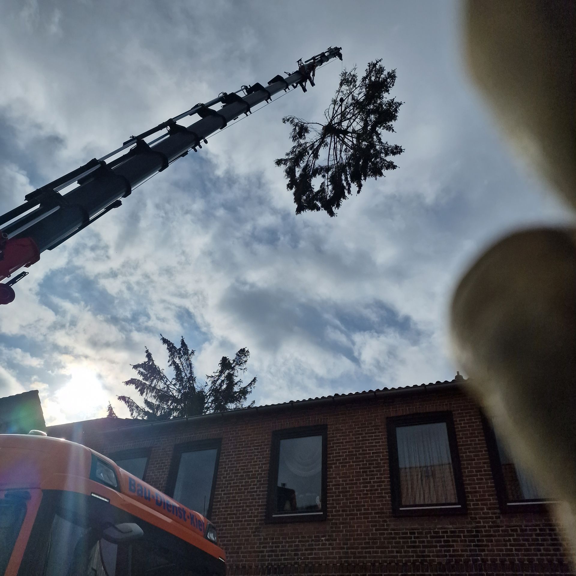 Ein Kran hebt einen Baum über ein Backsteingebäude