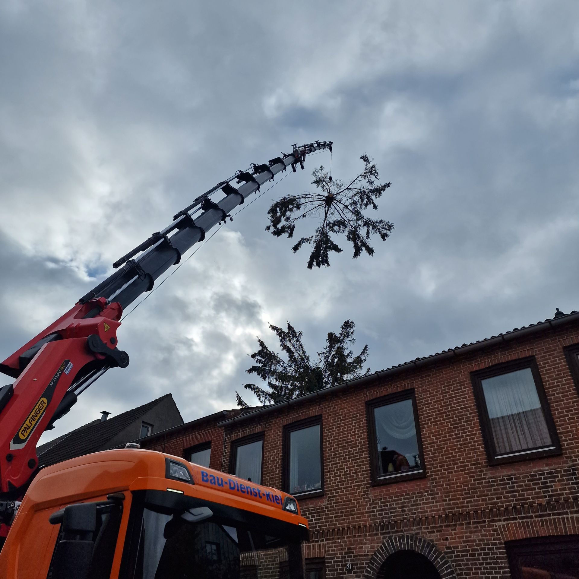 Ein Kran hebt einen Baum vor einem Backsteingebäude in die Luft