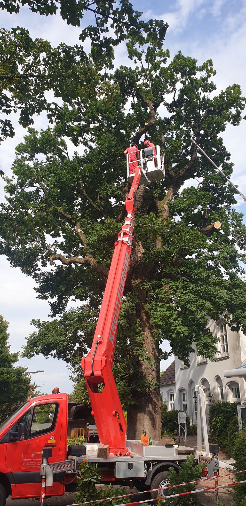 Ein Mann fällt mit einem Kran einen Baum.