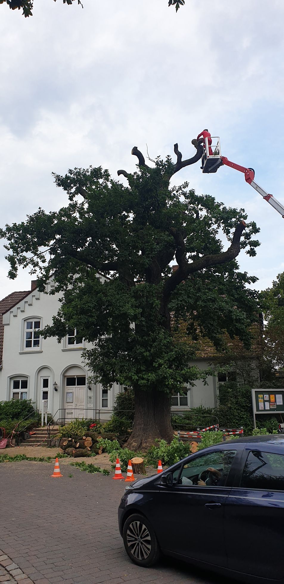 Ein Mann fällt mit einem Kran vor einem Haus einen Baum.