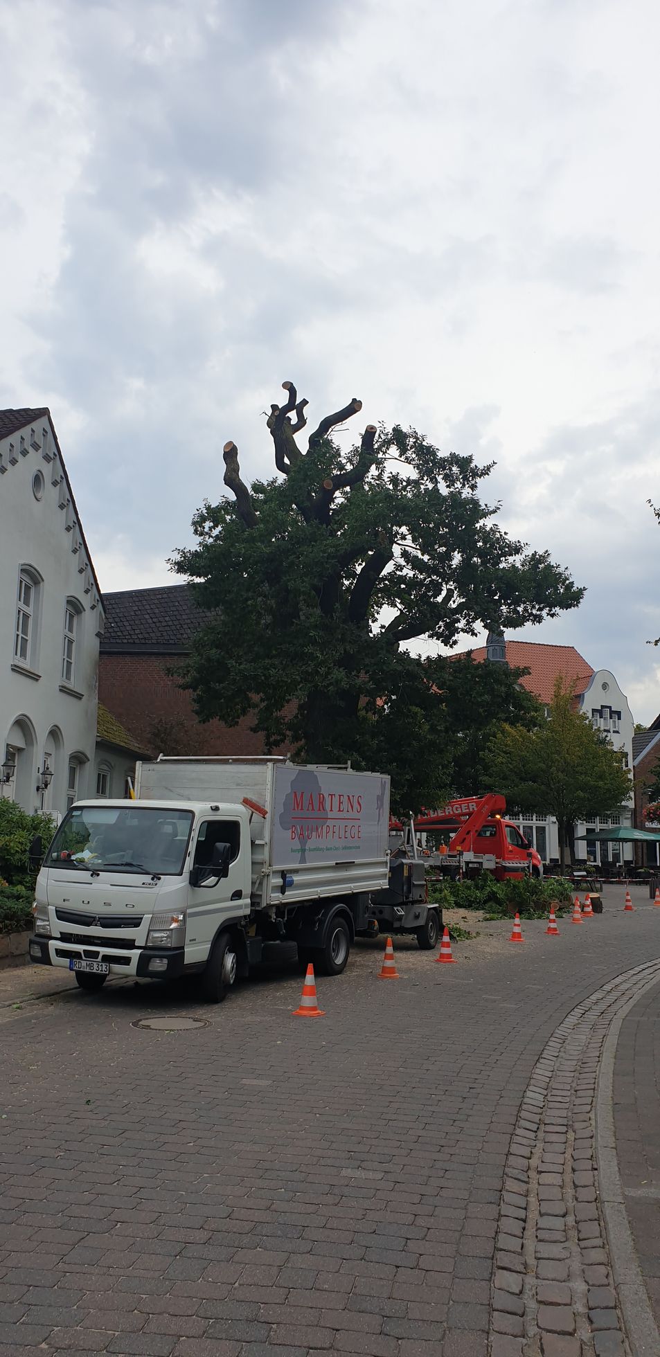 Ein weißer Lastwagen parkt am Straßenrand neben einem Baum.