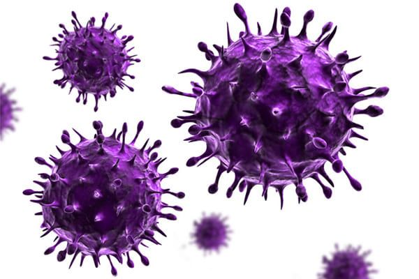 Particules virales violettes. Formes sphériques et pointues sur fond blanc.