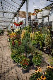 Außenbereich Pflanzen-Center Heuver KG