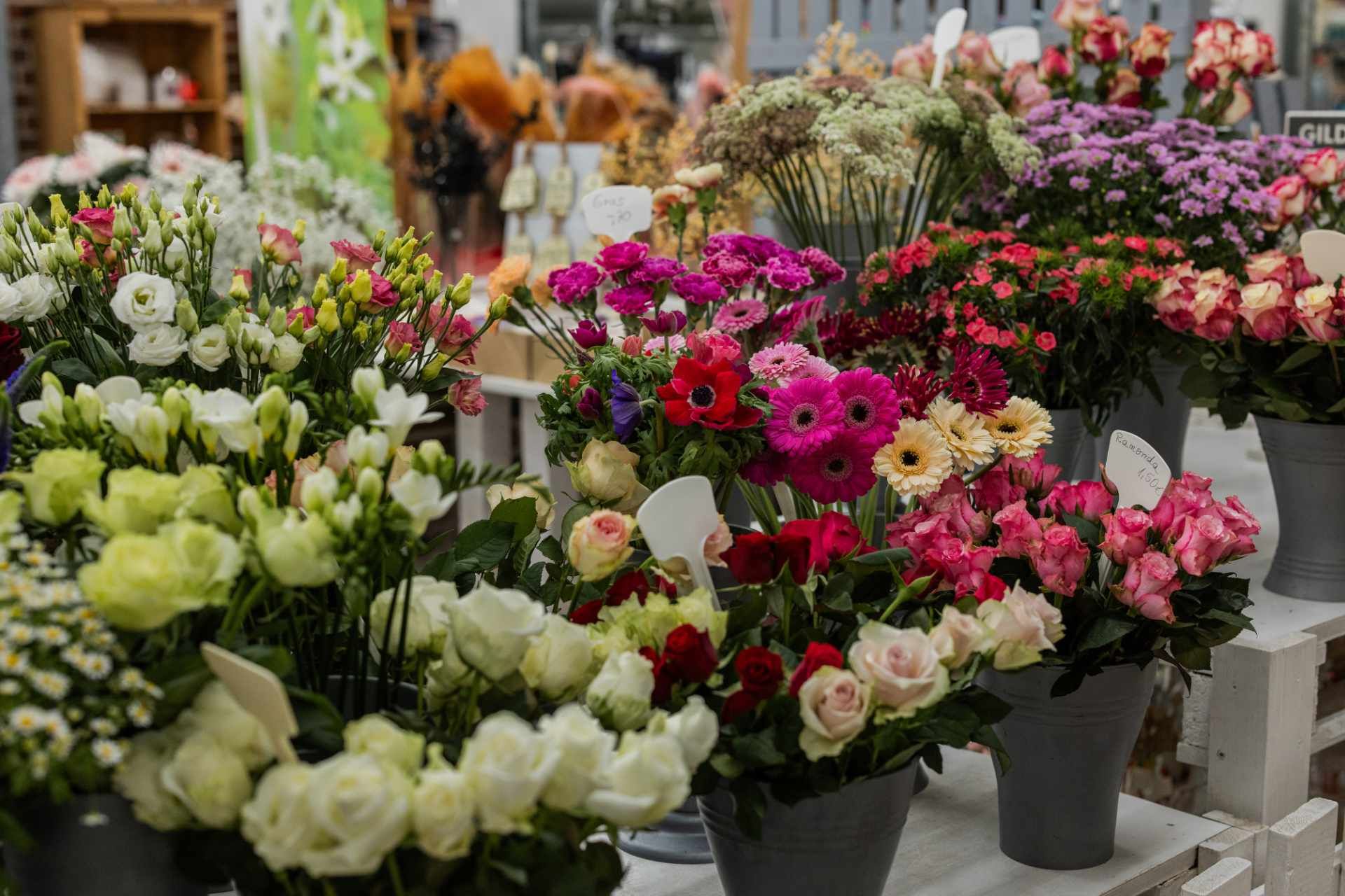 Pflanzen-Center Heuver KG | Blumensträuße