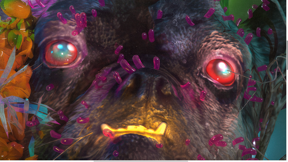 Primer plano de un perro de pelaje oscuro con ojos rojos y protuberancias cristalinas rosadas. Se aprecian dientes amarillos.