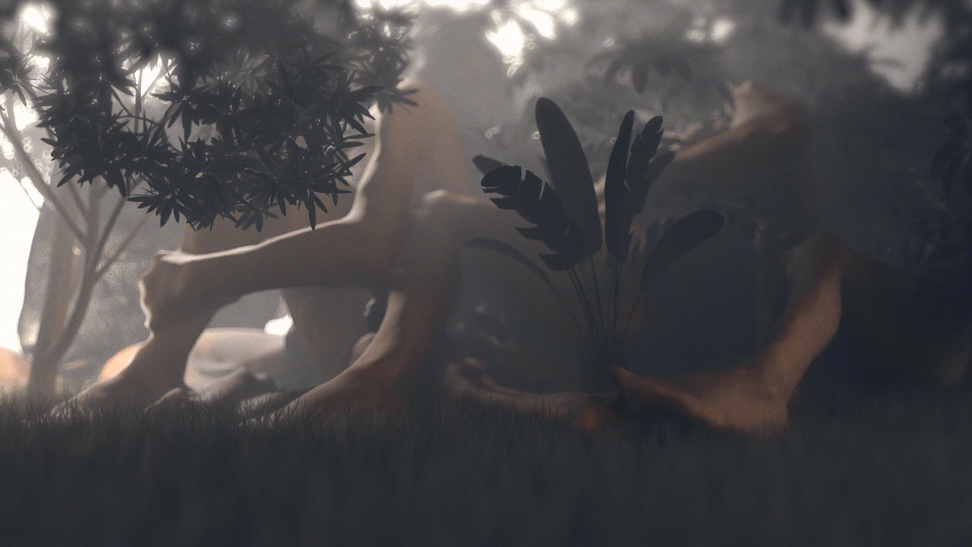 Escena de bosque soleado desde un ángulo bajo. Raíces desnudas y nudosas dominan el primer plano