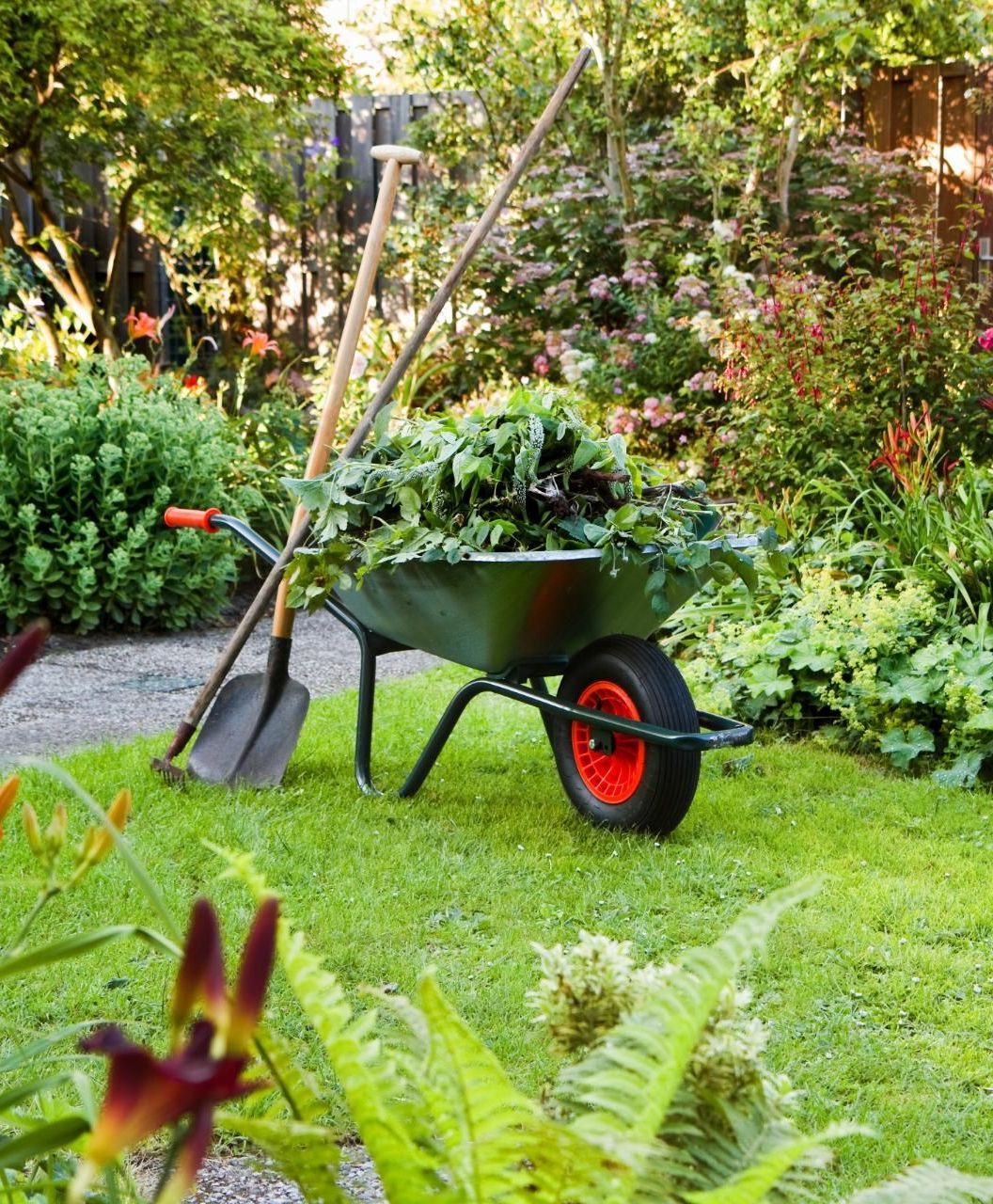 Eine Schubkarre voller Pflanzen und eine Schaufel in einem Garten.