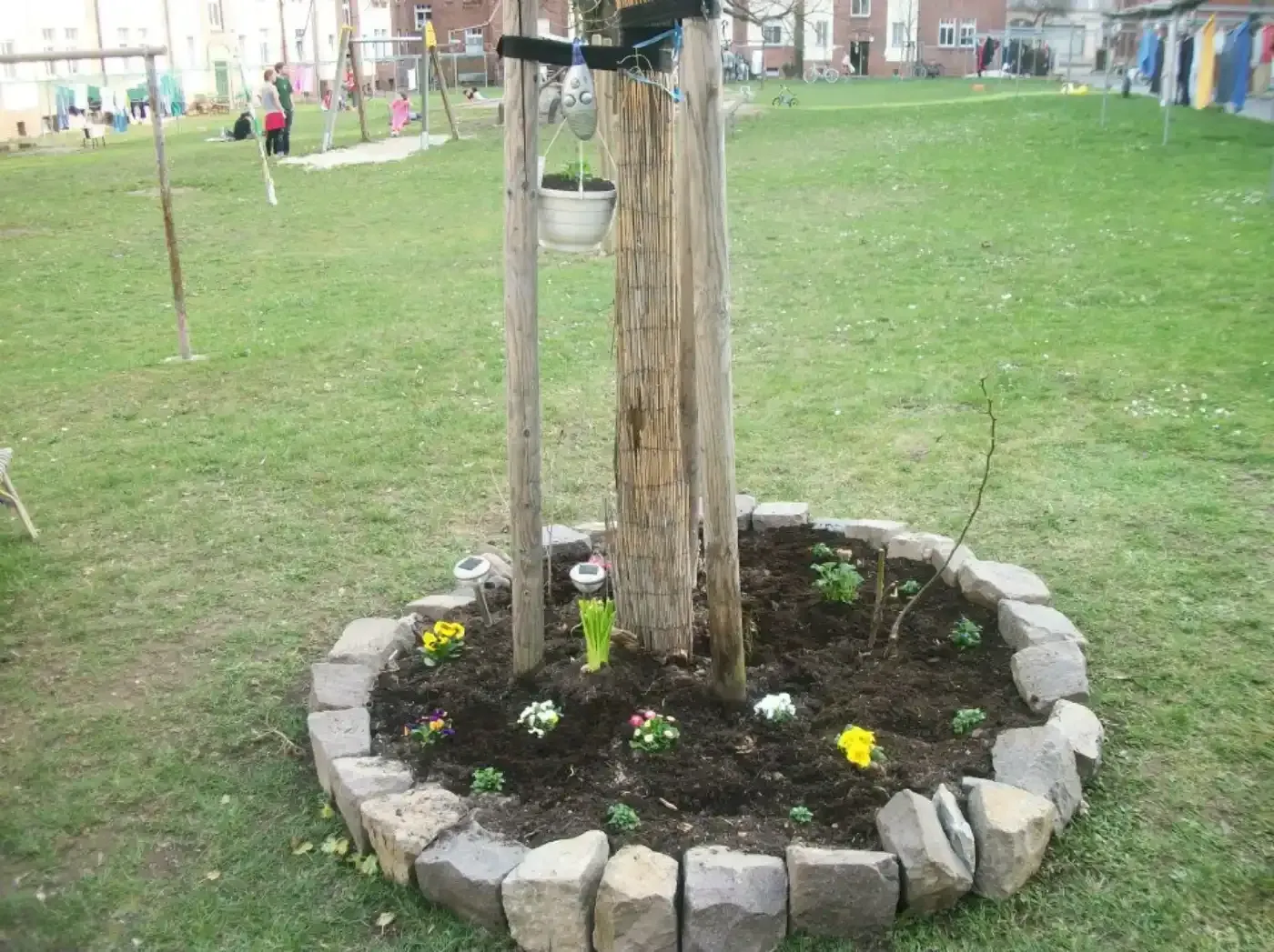 Ein Baum ist in einem Park von Felsen und Blumen umgeben