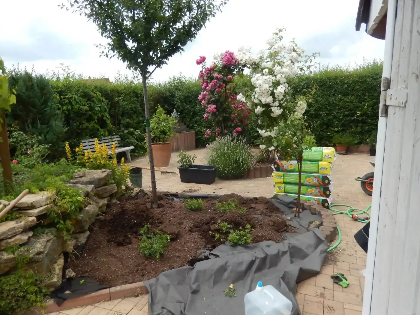 Ein Garten mit vielen Pflanzen und einem Schlauch