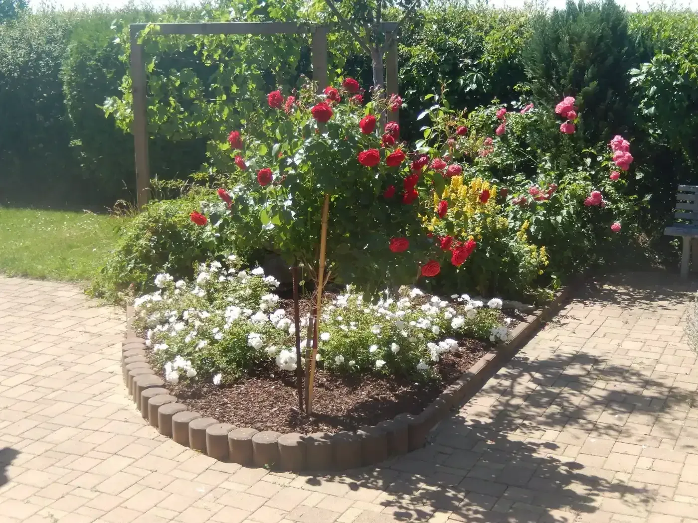 Ein Garten mit Blumen und einer Bank im Hintergrund
