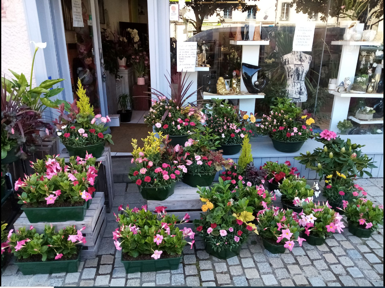Photo d'exposition de fleurs devant la boutique