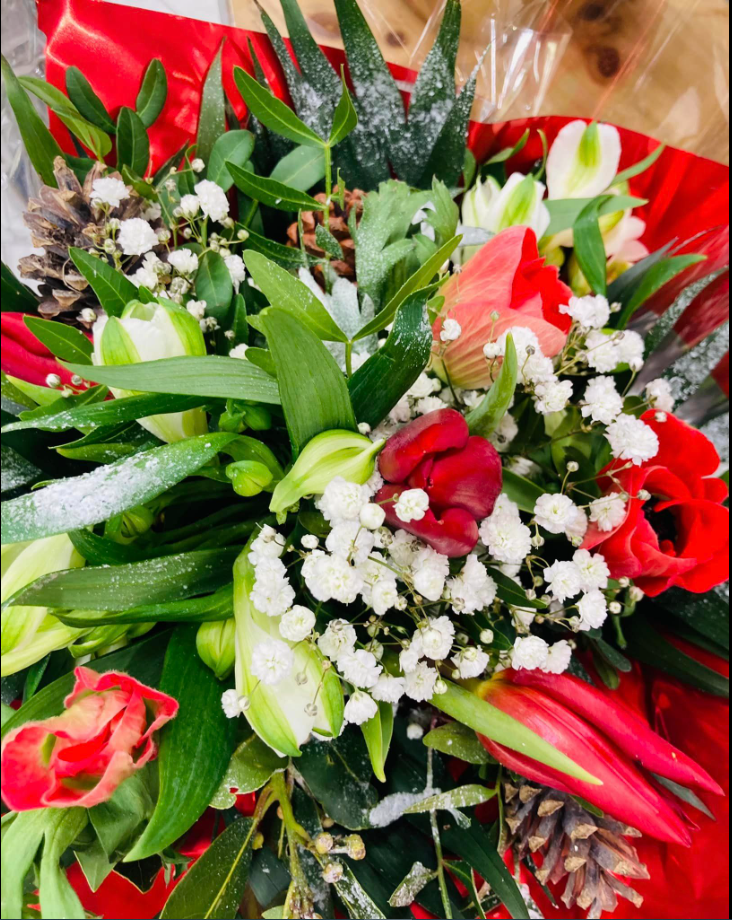 Photo de plantes et de fleurs en composition