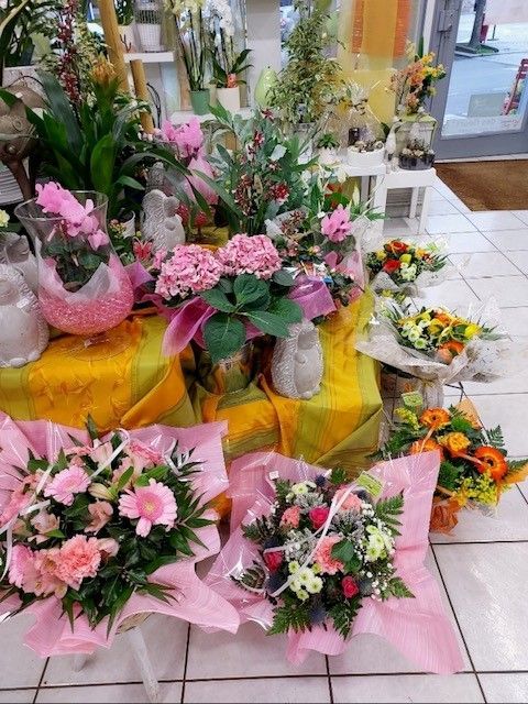 Photo de fleurs et de plantes exposées dans le magasin