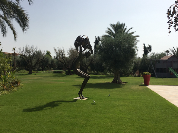 Une paisible terrasse à l'arrière d'une maison avec piscine, pelouse verdoyante,.