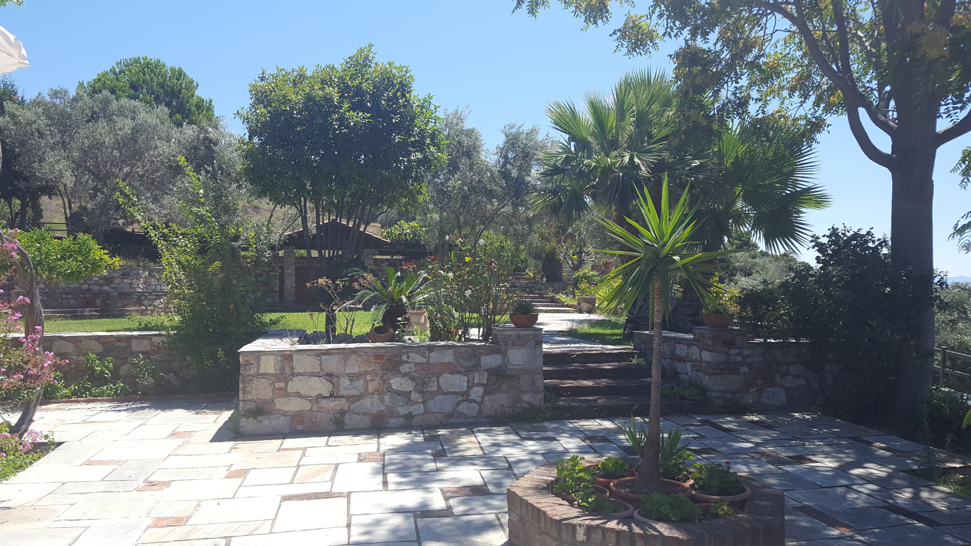 Une paisible terrasse à l'arrière d'une maison avec piscine, pelouse verdoyante,.