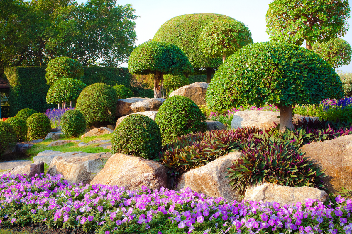 Une paisible terrasse à l'arrière d'une maison avec piscine, pelouse verdoyante,.