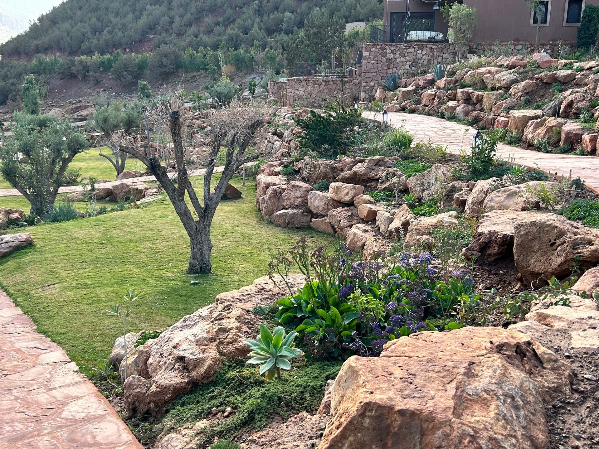 Une paisible terrasse à l'arrière d'une maison avec piscine, pelouse verdoyante,.