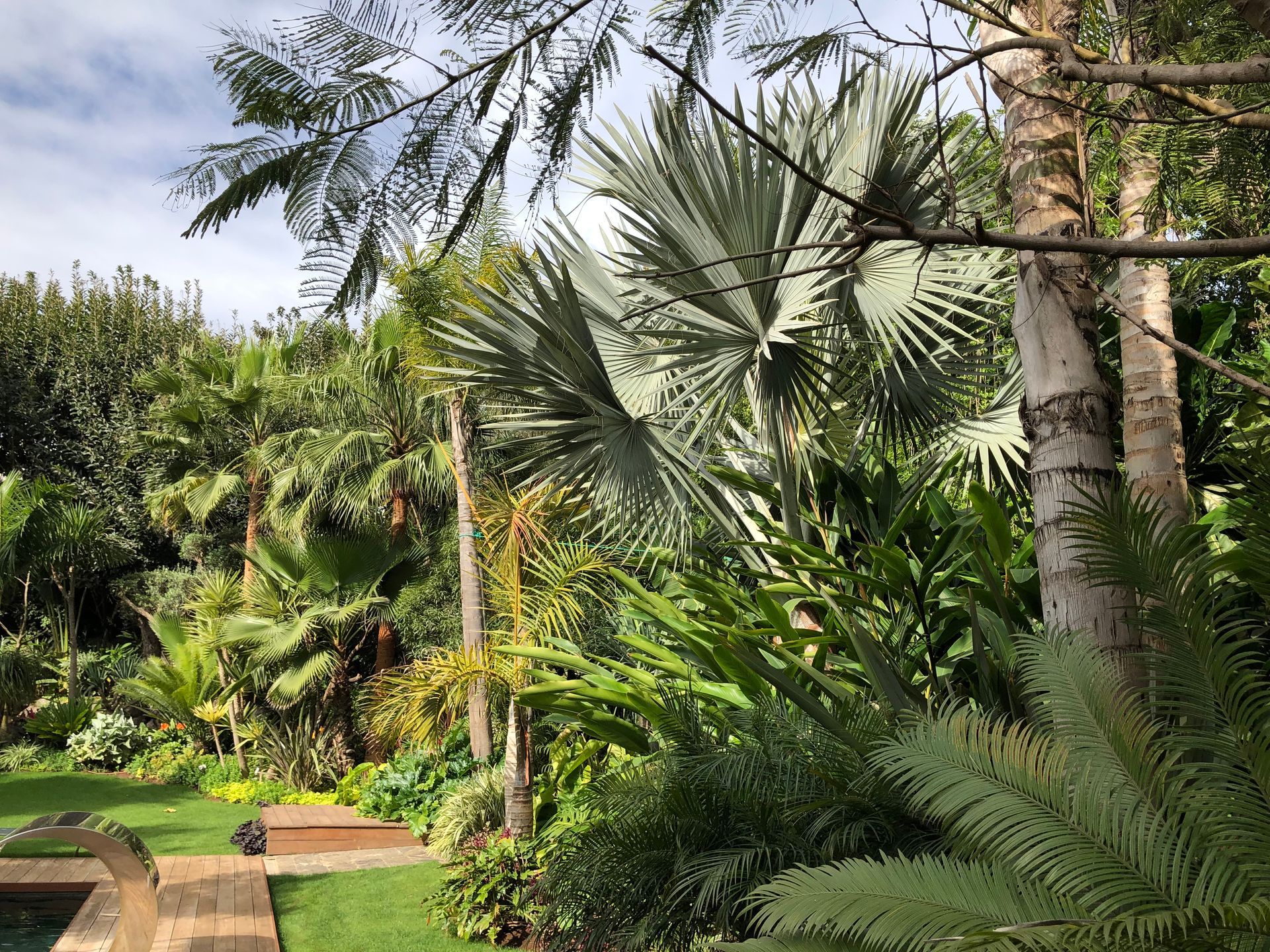 Une paisible terrasse à l'arrière d'une maison avec piscine, pelouse verdoyante,.