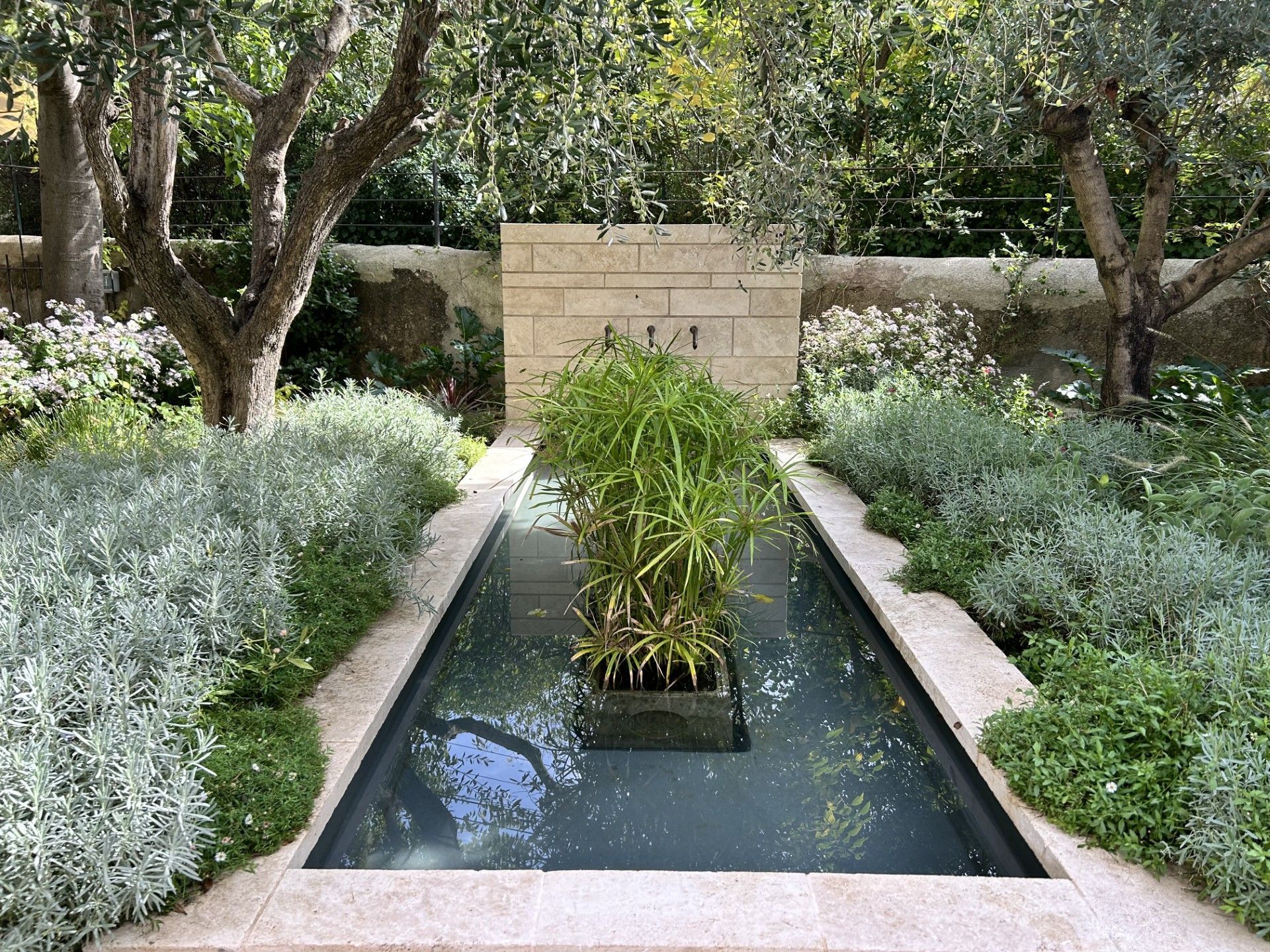 Une paisible terrasse à l'arrière d'une maison avec piscine, pelouse verdoyante,.