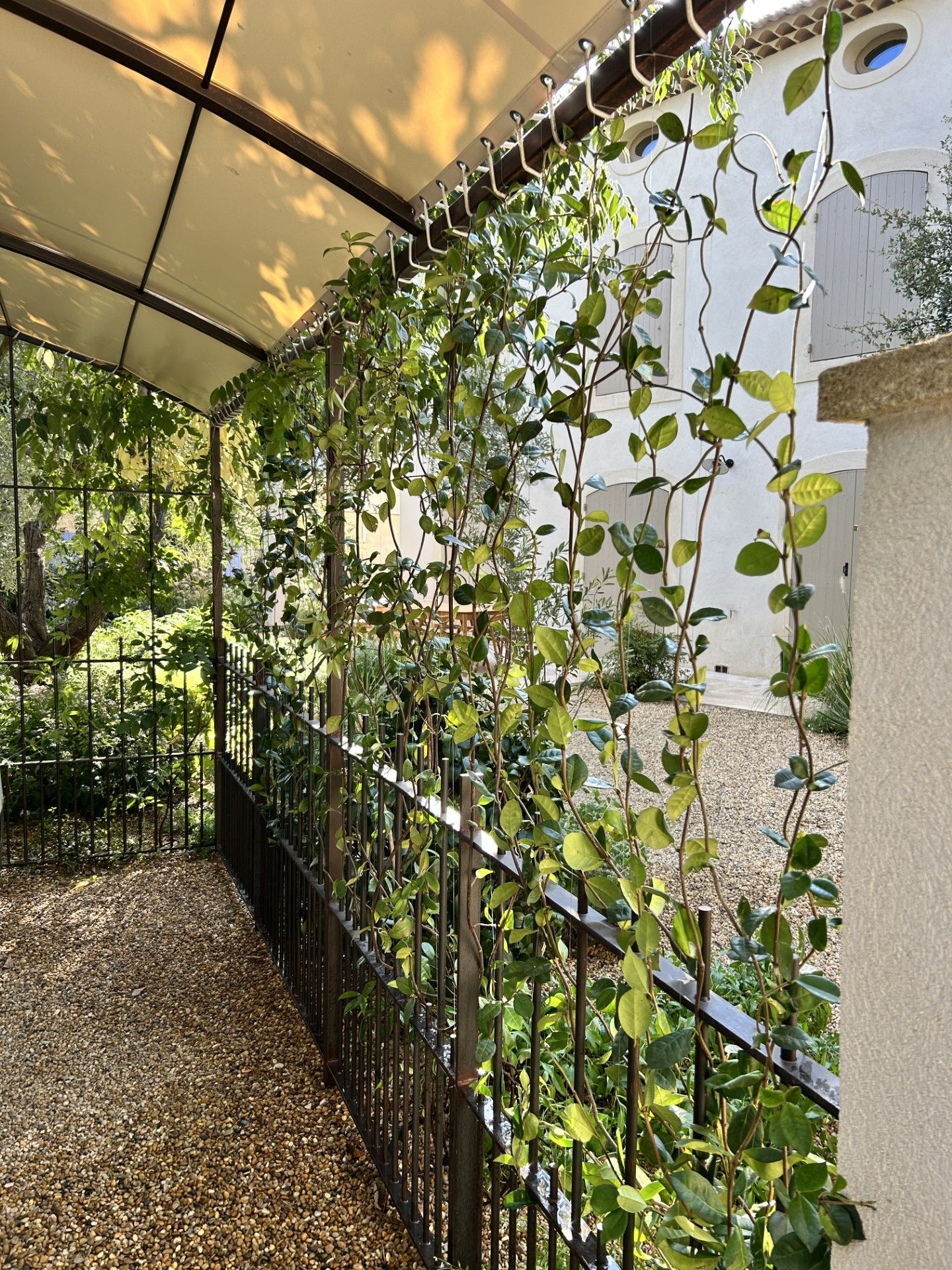 Une paisible terrasse à l'arrière d'une maison avec piscine, pelouse verdoyante,.