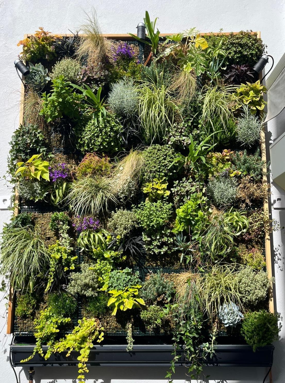Une paisible terrasse à l'arrière d'une maison avec piscine, pelouse verdoyante,.