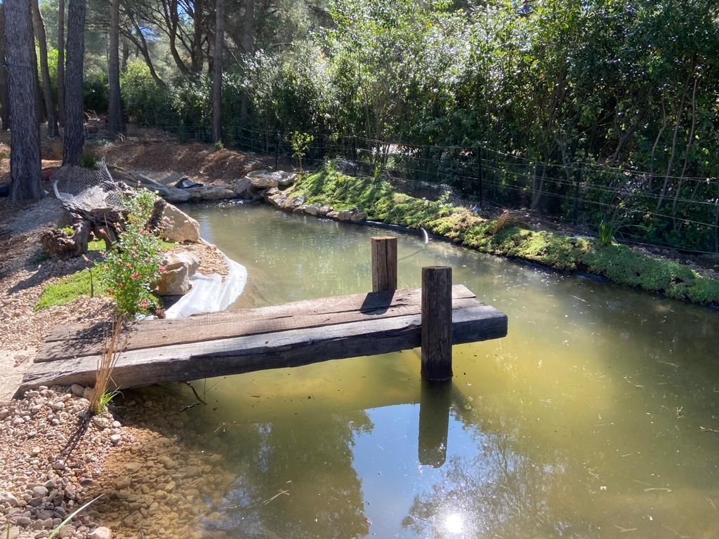Une paisible terrasse à l'arrière d'une maison avec piscine, pelouse verdoyante,.