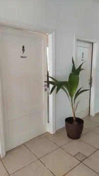 Una planta en maceta está junto a una puerta en un pasillo.