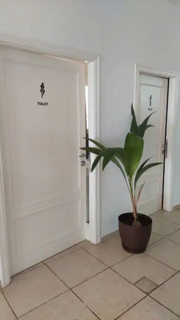 Una planta en maceta está junto a una puerta en un pasillo.