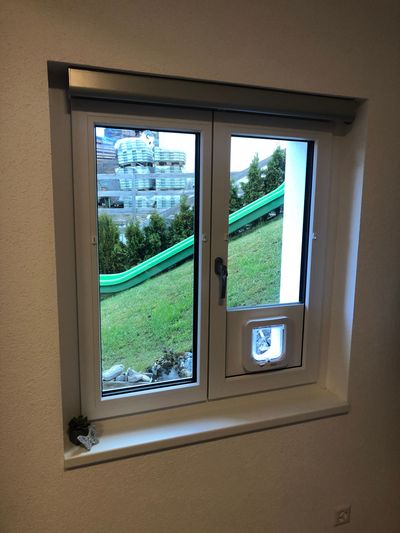 Eine Katze lugte durch einen Spalt zwischen weissen Türen, eine Pfote auf dem grauen Boden ausgestreckt.