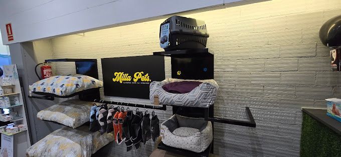 Exhibidor de una tienda de mascotas con camas para perros, un transportín, correas y accesorios. La tienda tiene paredes de ladrillo claro y techo blanco.