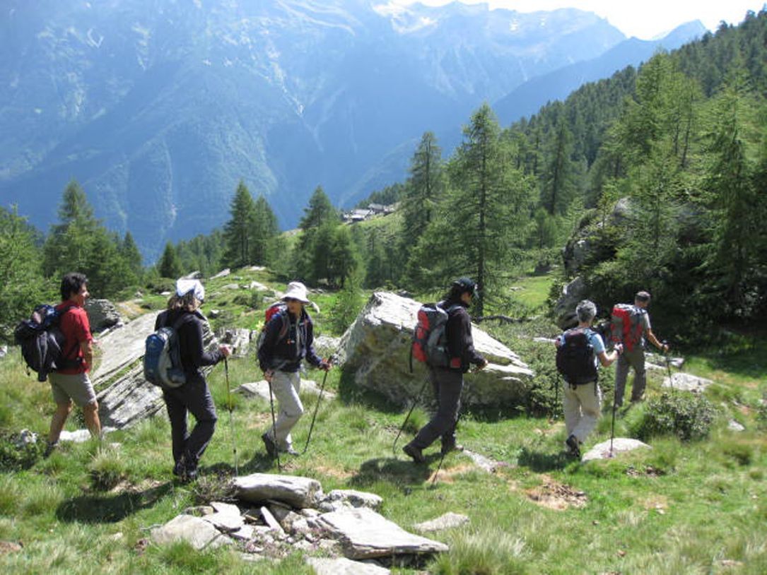 Sentieri di montagna - Panetteria Pasticceria Ostello Alpina