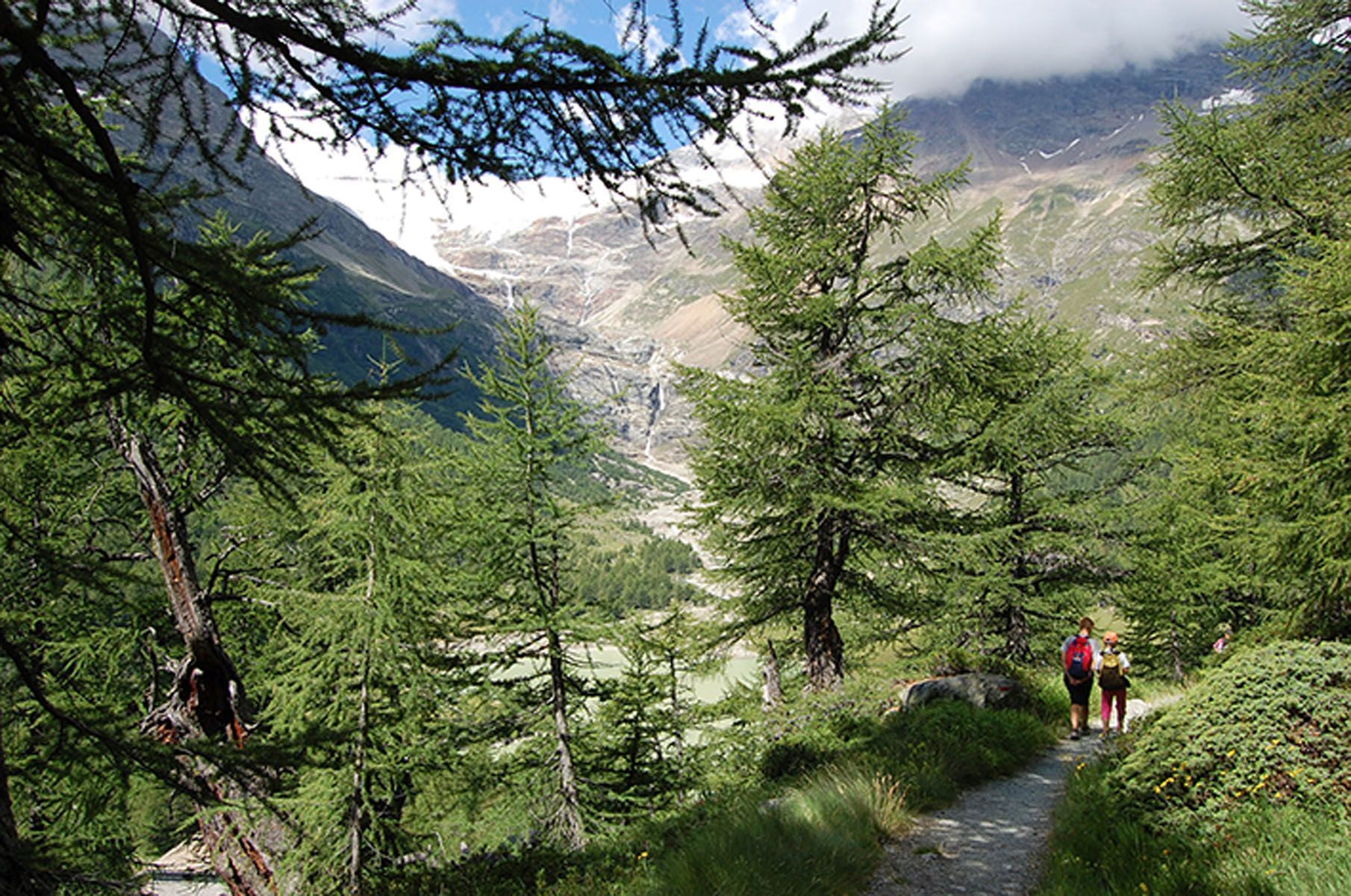 Parco esterno - Panetteria Pasticceria Ostello Alpina