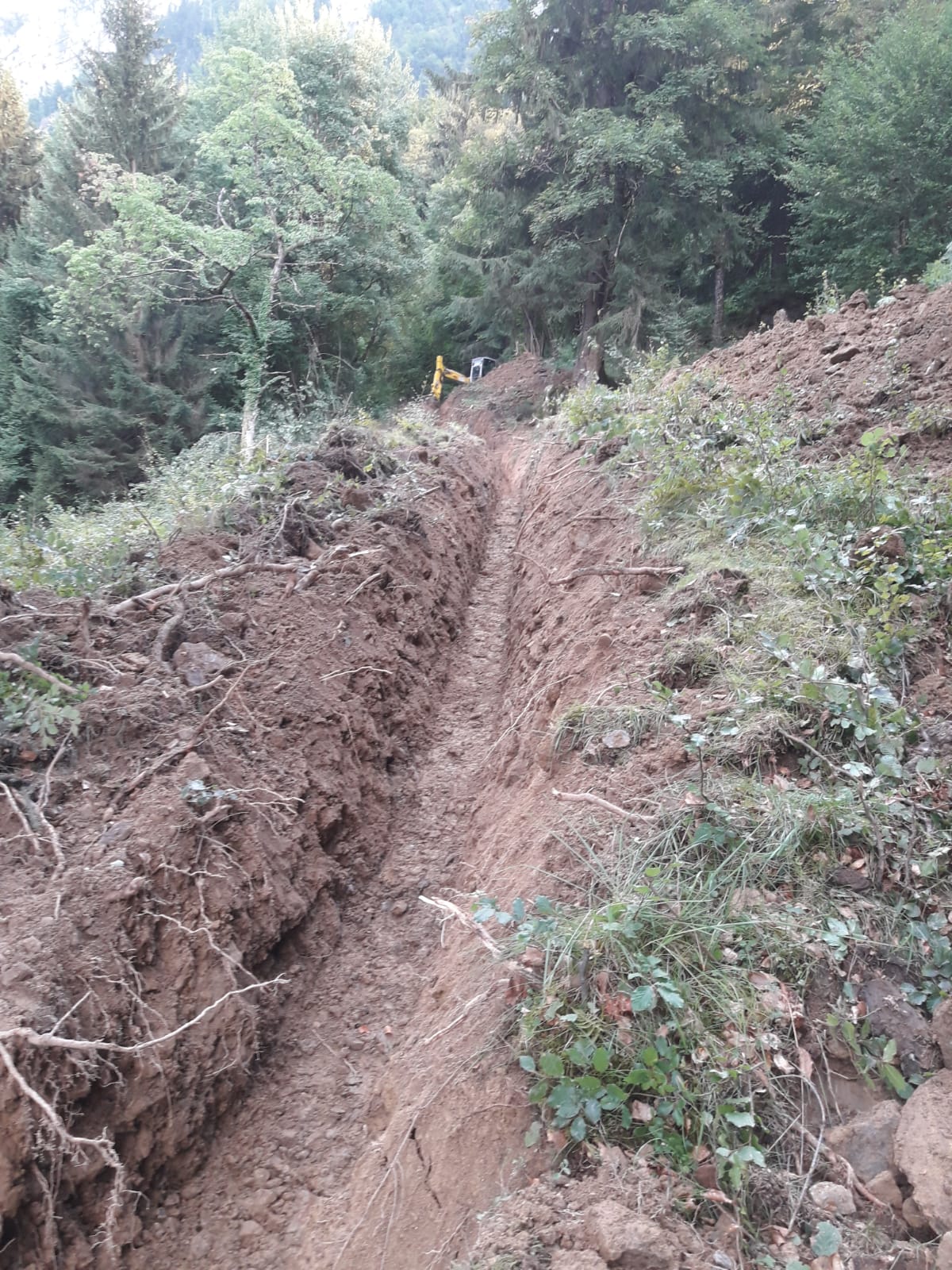 Transport von Maschine - B. Aellig GmbH