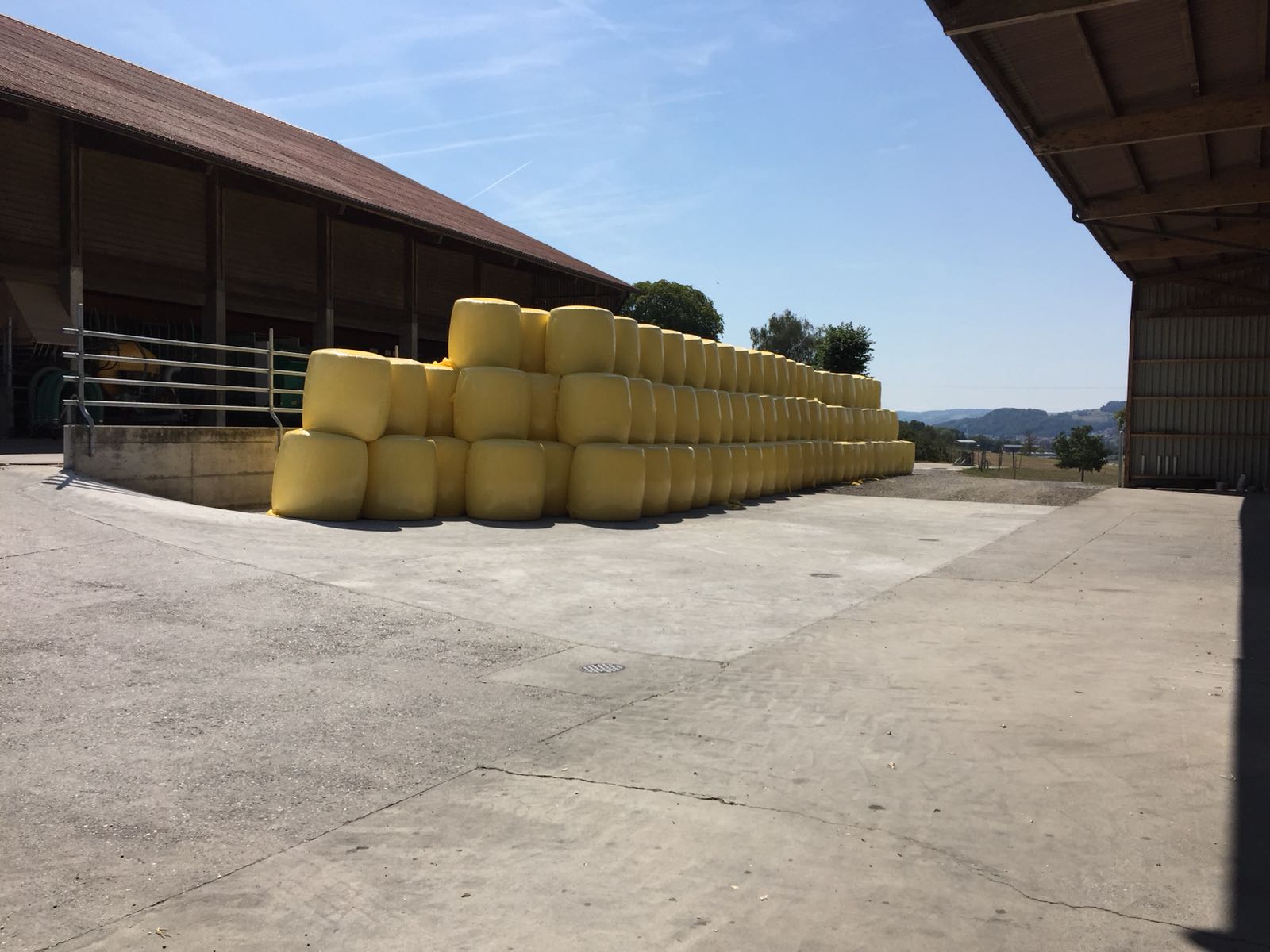 Maisballenhandel - B. Aellig GmbH