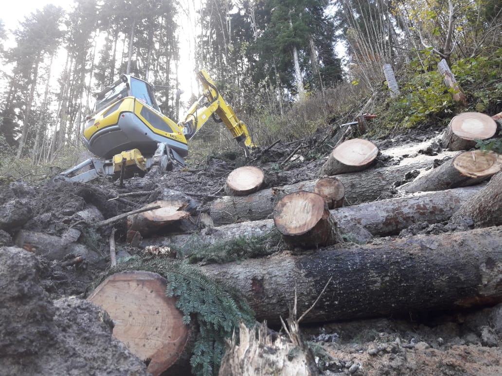 Transport von Maschine - B. Aellig GmbH