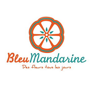 Logo Bleu Mandarine